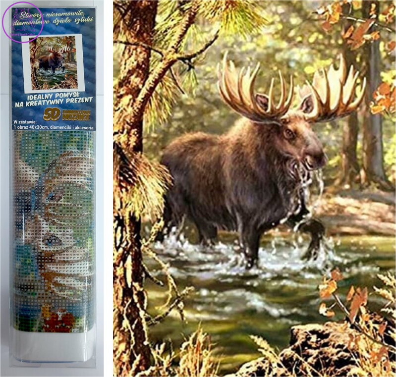 Norimpex Diamantové malování Los v řece 30x40cm