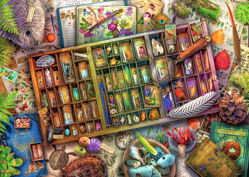RAVENSBURGER Puzzle Přírodopisná sbírka 1000 dílků RAVENSBURGER Puzzle Přírodopisná sbírka 1000 dílků