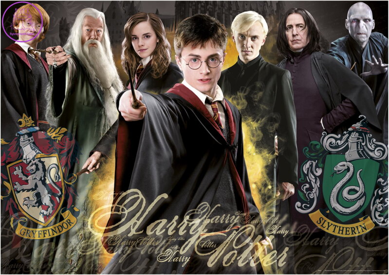 EDUCA Puzzle Harry Potter 1000 dílků EDUCA Puzzle Harry Potter 1000 dílků