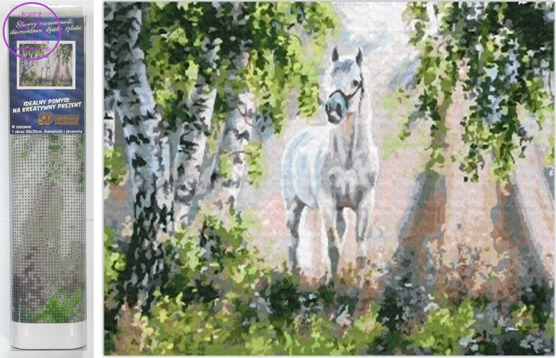 NORIMPEX Diamantové malování Bílý kůň 30x40cm
