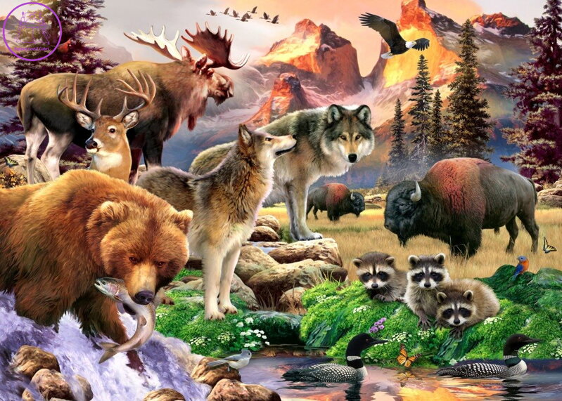 ALIPSON Puzzle Příroda 500 dílků ALIPSON Puzzle Příroda 500 dílků