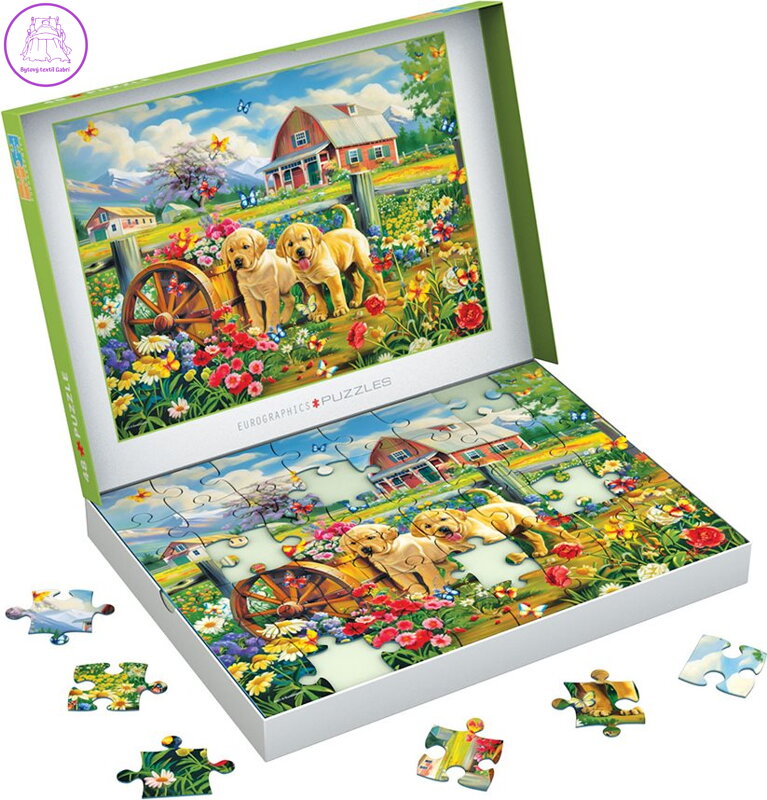 EUROGRAPHICS Puzzle Connecting Pieces: Štěňata na jaře 48 dílků