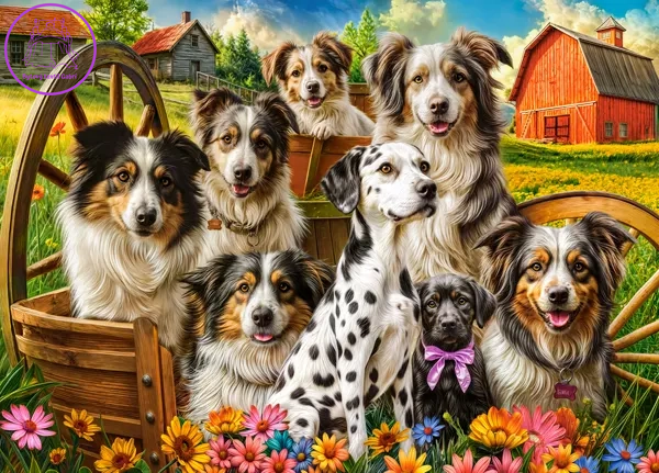 CASTORLAND Puzzle Šťastní psi na venkově 260 dílků CASTORLAND Puzzle Šťastní psi na venkově 260 dílků