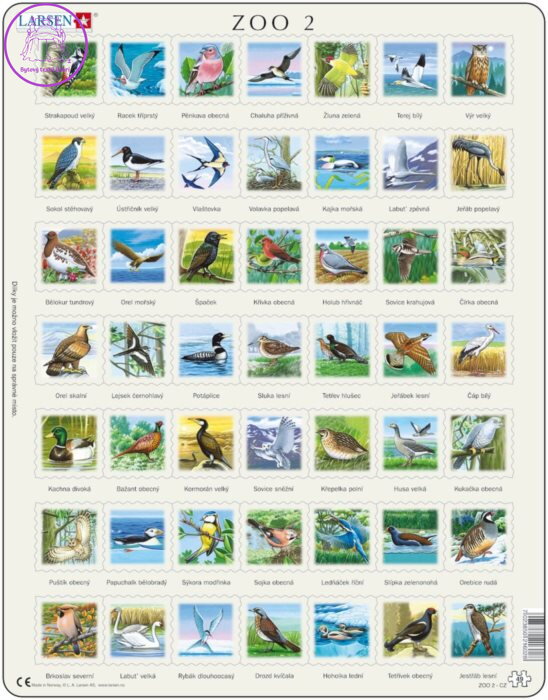 LARSEN Puzzle Ptáci (ZOO 2) 49 dílků